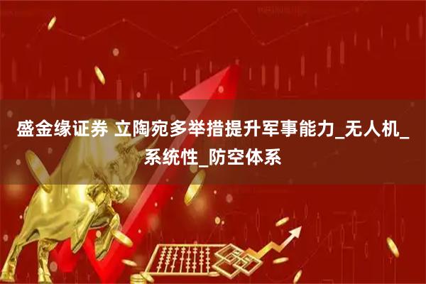 盛金缘证券 立陶宛多举措提升军事能力_无人机_系统性_防空体系