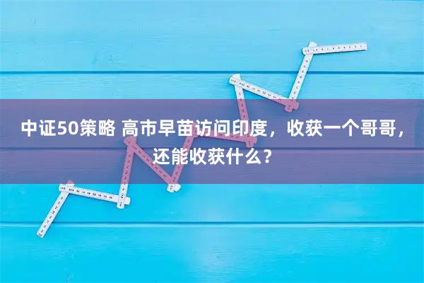 中证50策略 高市早苗访问印度，收获一个哥哥，还能收获什么？